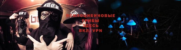 прущая мука Белокуриха